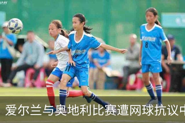 爱尔兰与奥地利比赛遭网球抗议中断，展现球迷对巴勒斯坦的声援